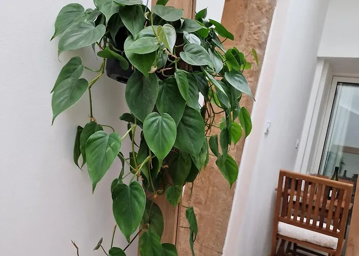 Le Saint Baudile 80sqm Parking Ac Church View Lägenhet Nîmes